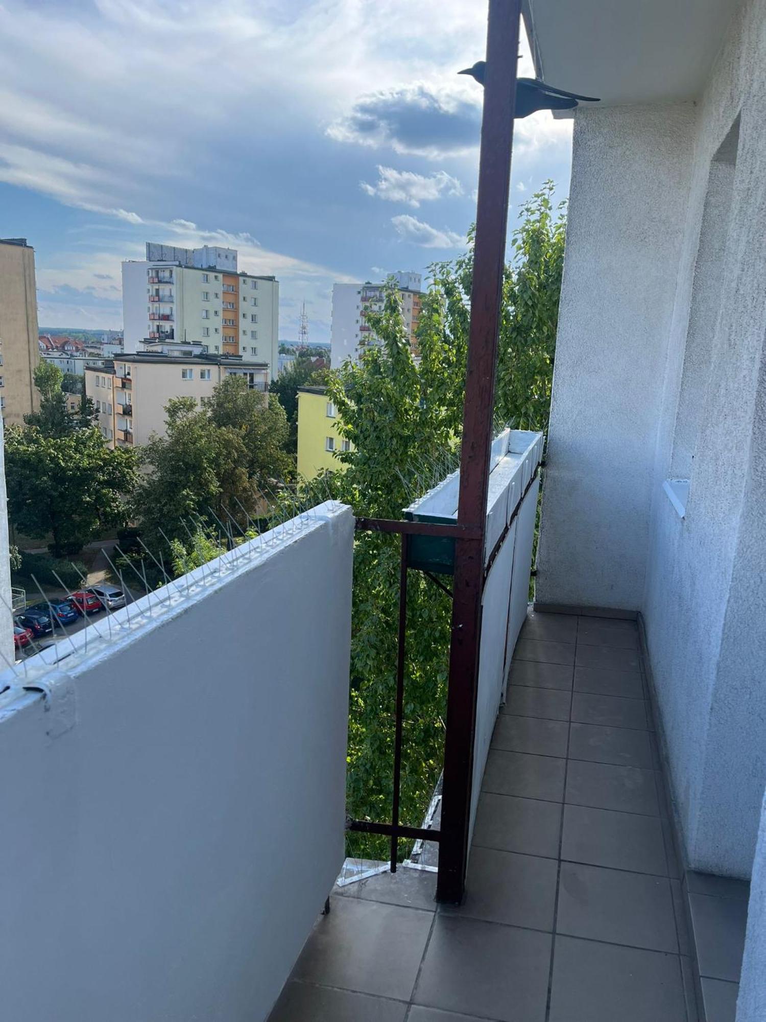 Stary ToruńWidokowka公寓 外观 照片